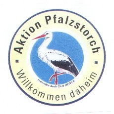 Pfalzstork